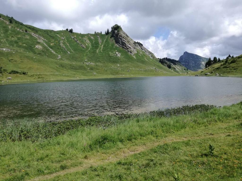 Le Genepi